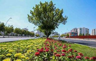 Kayapınar ilçesinde Fırat Bulvarı 75 bin 360 adet...