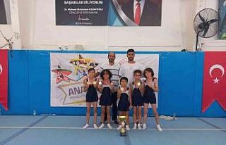 Kayseri ANALİG Jimnastik Takımı Türkiye şampiyonu...