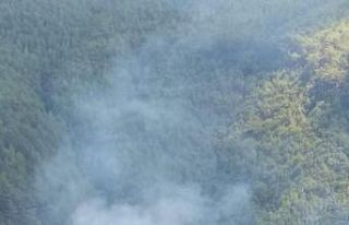 Kazdağları’nda orman yangını