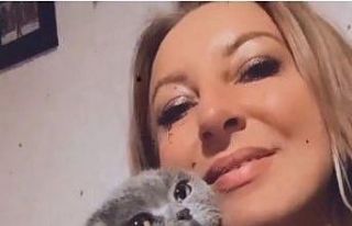 Kedisini bulana 10 bin TL ödül verecek