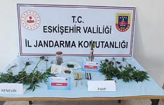Kenevir bitkisi yetiştirilen eve jandarma operasyonu