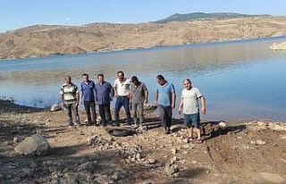 Kılıçkaya Baraj Gölüne 500 bin sazan yavrusu...