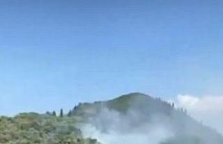 Kocaeli’de orman yangını