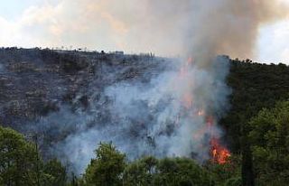 Kocaeli’de ormanlık alanda çıkan yangına müdahale...