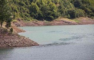 Kocaeli’nin içme suyunu karşılayan barajın çevresi...