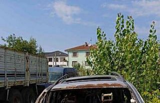 Kontrolden çıkan otomobil ağaca çarpınca alev...