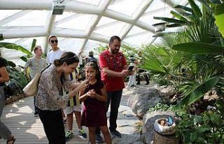 Konya Tropikal Kelebek Bahçesi yoğun ilgi görüyor