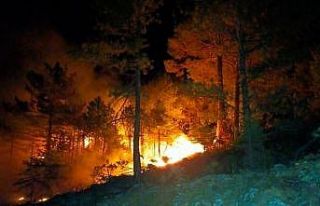 Konya’da ormanlık alanda çıkan yangın söndürüldü