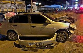 Köpeğe çarpmamak için manevra yapan otomobil tır...