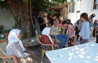 Köyceğiz’de ulu çınarlara ziyaret, mutlu etti