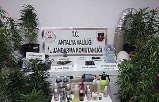 Kumluca’da jandarmadan uyuşturucu operasyonu