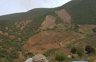 Kurtlar Vadisini ceviz fidanlarıyla yeşil vadiye...