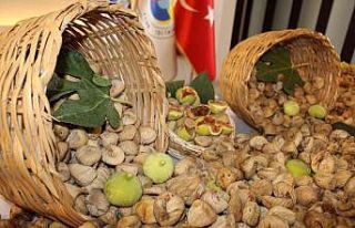 Kuru incirde en fazla ihraç AB ülkelerine yapılıyor