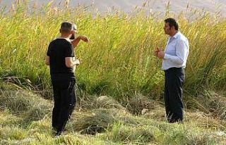 ‘Kuş cenneti’ Nehil Sazlığı için sıkı tedbir