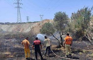 Kuşadası’nda korkutan yangın