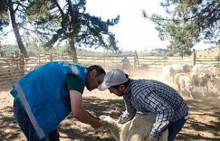 Kütahya’da "Köyümde Yaşamak İçin Bir...