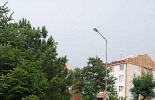 Kuvvetli rüzgar nedeniyle park halindeki otomobilin...