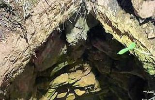 Kuyuya düşen koyun kurtarıldı