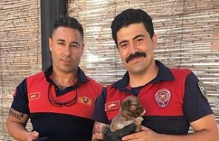 Kuyuya düşen yavru köpeğin imdadına itfaiye ekipleri...