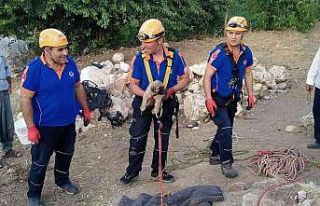 Kuyuya düşen yavru köpek kurtarıldı