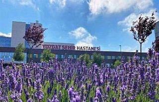 Lavanta kokulu hastane