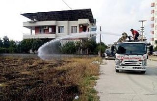 Mahalle arasındaki otluk alanda çıkan korkuttu