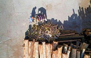 Mahrukatçıların kış hazırlığı