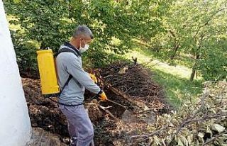 Malatya’da ilaçlama çalışmaları sürüyor