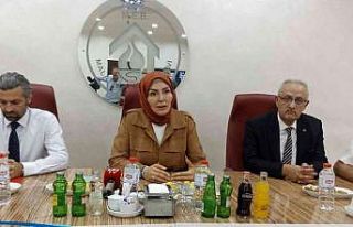 Malatya’da ’kayısı yetiştiriciliği’ dersi...