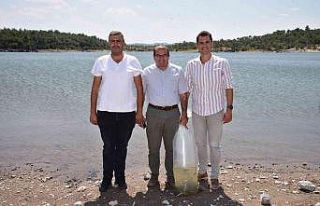 Manisa Büyükşehir Belediyesinden balıkçılığa...