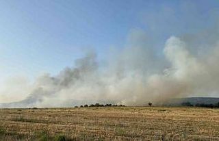 Manisa’daki orman yangını kontrol altına alındı