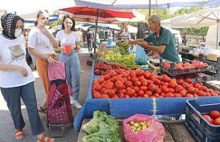 Manyas’ta yerli ürün bollaşınca sebze fiyatlarında...