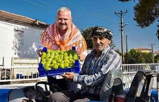 Menemen’de incir tadında festival
