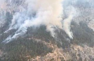 Mersin’deki orman yangınına müdahale ediliyor