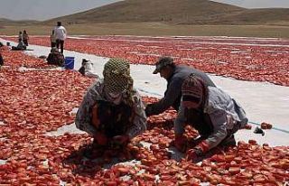 Mevsimlik işçi öğrencilerin büyük başarısı:...