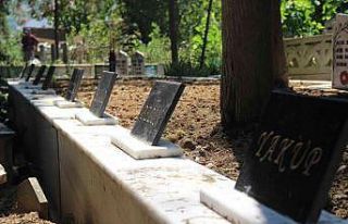 Mezarlıkta kahreden kare