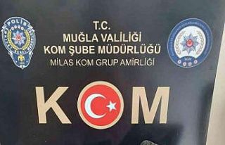 Milas’ta Diaspor taşı ele geçirildi