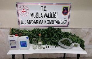 Milas’ta kaçak içki, kenevir ve uyuşturucu madde...