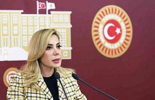 Milletvekili Gökcan’dan ‘30 Ağustos Zafer Bayramı’...