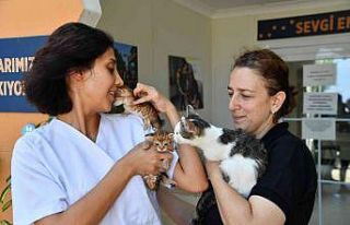 Minik dostlar şefkatli ellerde tedavi ediliyor