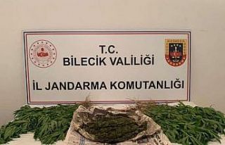 Motosikletinde yarım kilodan fazla esrarla yakalandı