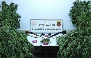 Nazilli’de uyuşturucu operasyonu