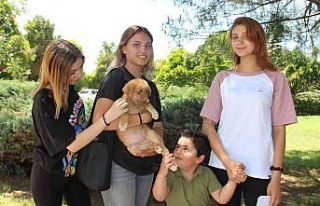 Nilüfer’de can dostlar yeni sahiplerini bekliyor