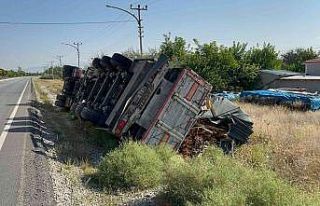 Odun yüklü tır devrildi, 1 kişi yaralandı