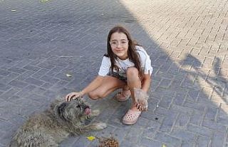 Öğrencilerin harçlıkları can dostlara mama oldu