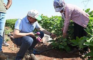 Oğuzeli’nde 62 aileye sürdürülebilir geçim...