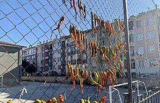 Okul demirlerinde sebze kurutuyorlar