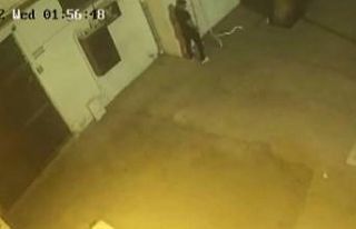 Okuldan kablo çalan hırsızlar yakalandı
