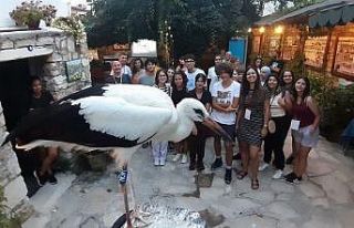 Ölmek üzereyken bulunan leylek yavrusu sağlığına...