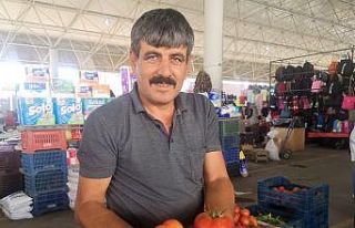 Organik domateslerin büyüklüğünü gören bir...